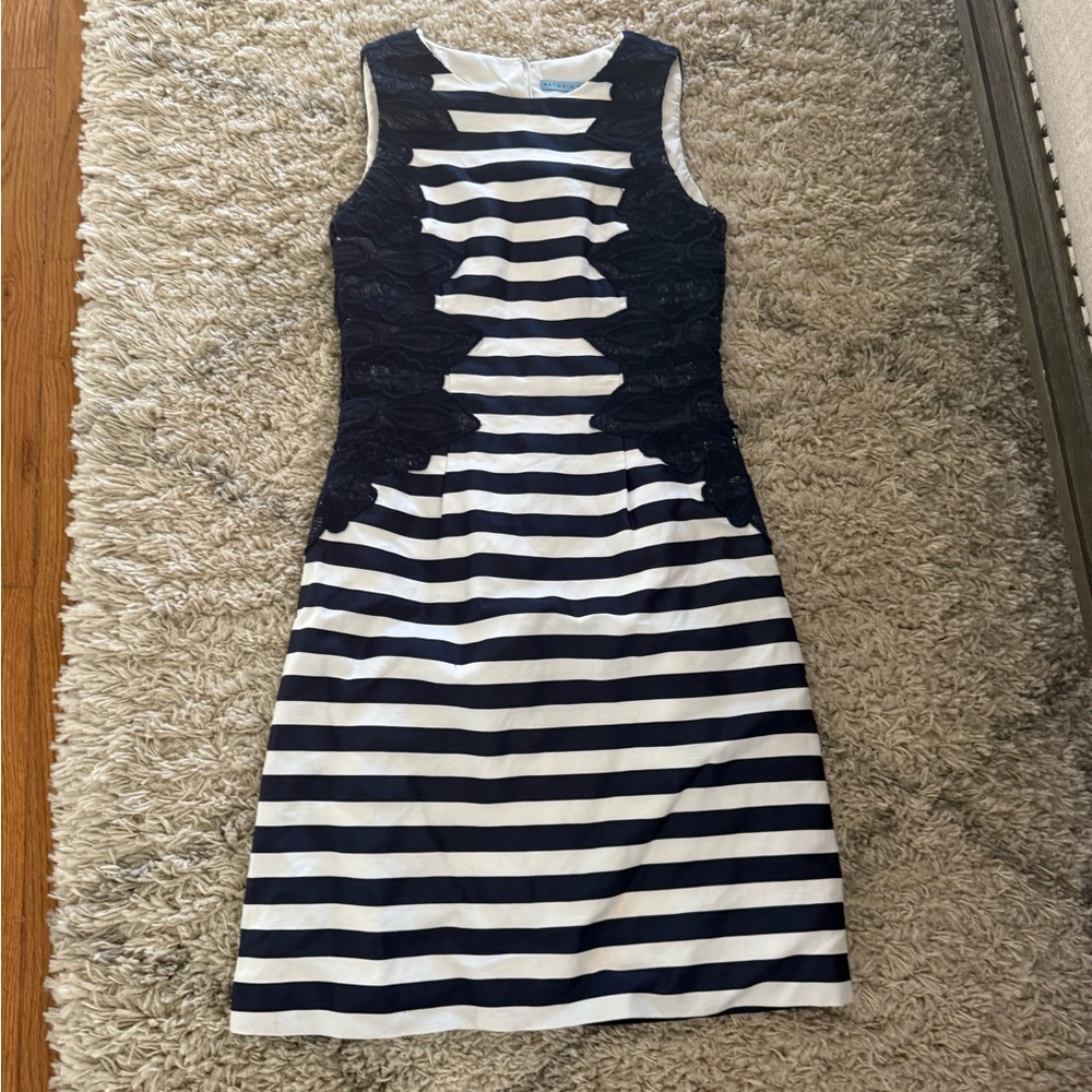Navy and White Striped Dress